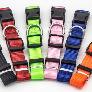 Pet Collar